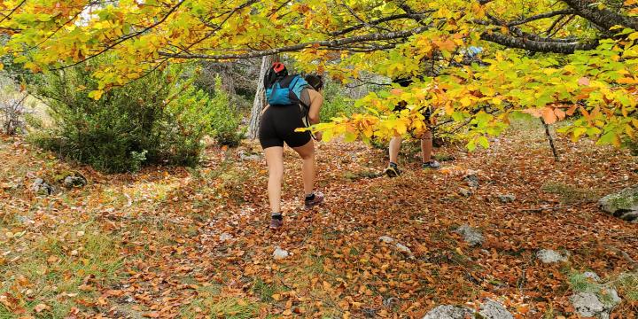 Les plus belles balades et randos à faire autour de Castellane