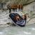 Rafting - Rafting parcours découverte- initiation famille - 18